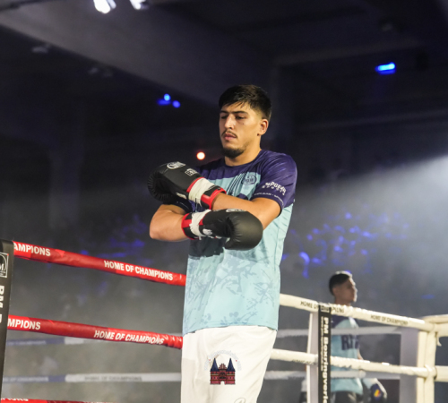 get-in-the-Ring-Kickboxen-hamburg-hansemeister.com-2025-246