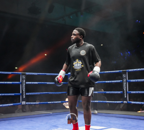 get-in-the-Ring-Kickboxen-hamburg-hansemeister.com-2025-2535