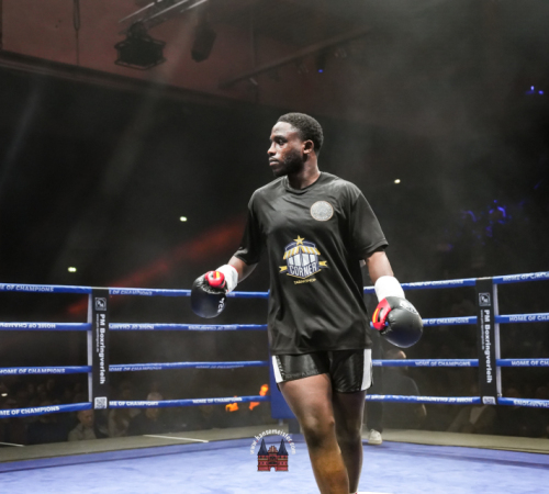 get-in-the-Ring-Kickboxen-hamburg-hansemeister.com-2025-2537