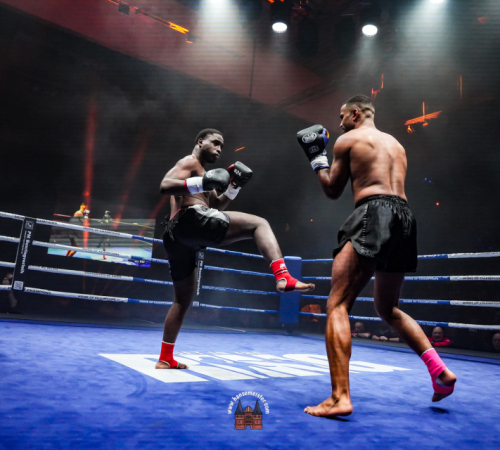 get-in-the-Ring-Kickboxen-hamburg-hansemeister.com-2025-2596