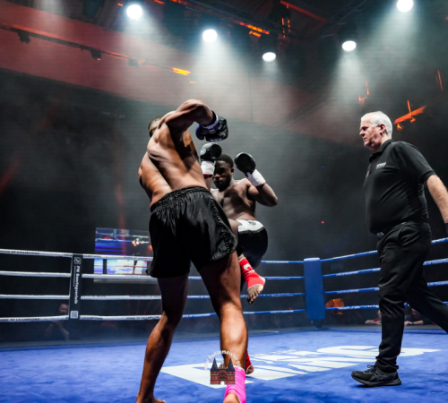 get-in-the-Ring-Kickboxen-hamburg-hansemeister.com-2025-2637