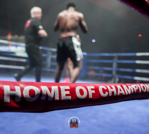 get-in-the-Ring-Kickboxen-hamburg-hansemeister.com-2025-2691