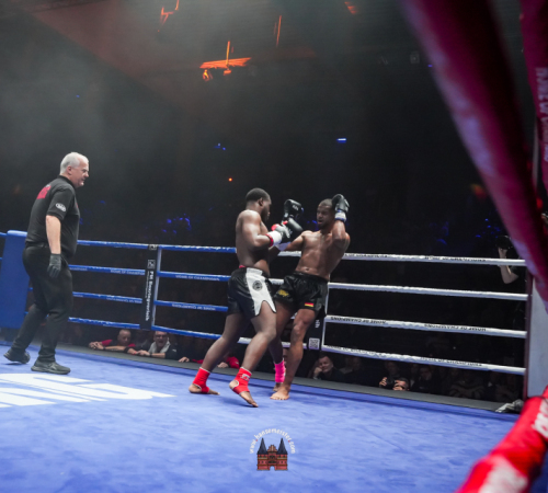 get-in-the-Ring-Kickboxen-hamburg-hansemeister.com-2025-2704