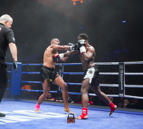 get-in-the-Ring-Kickboxen-hamburg-hansemeister.com-2025-2776