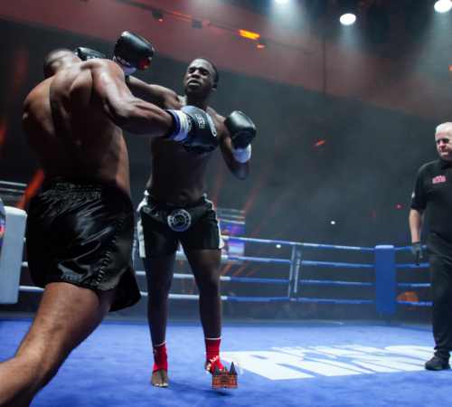 get-in-the-Ring-Kickboxen-hamburg-hansemeister.com-2025-2792