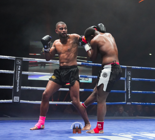 get-in-the-Ring-Kickboxen-hamburg-hansemeister.com-2025-2841