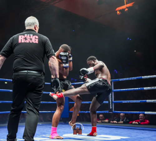 get-in-the-Ring-Kickboxen-hamburg-hansemeister.com-2025-2925