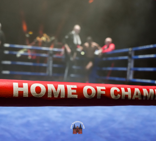 get-in-the-Ring-Kickboxen-hamburg-hansemeister.com-2025-2944