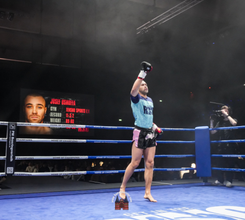 get-in-the-Ring-Kickboxen-hamburg-hansemeister.com-2025-2993