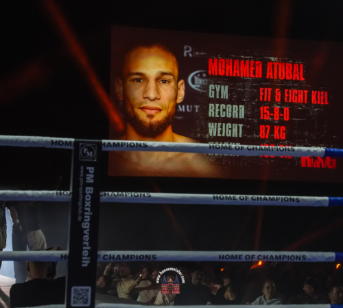 get-in-the-Ring-Kickboxen-hamburg-hansemeister.com-2025-3003