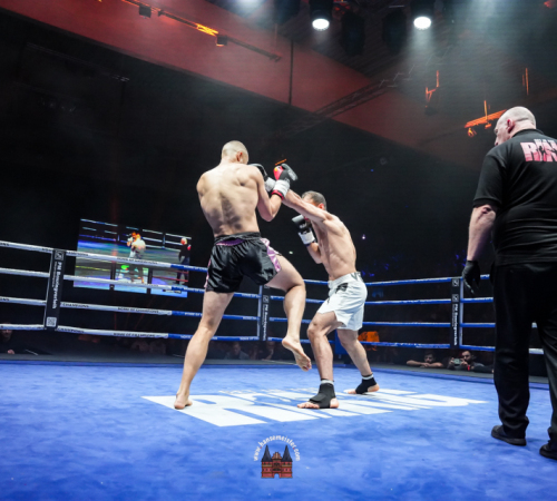 get-in-the-Ring-Kickboxen-hamburg-hansemeister.com-2025-3021