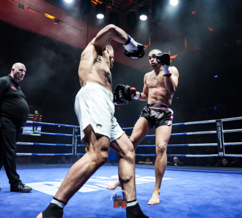 get-in-the-Ring-Kickboxen-hamburg-hansemeister.com-2025-3052