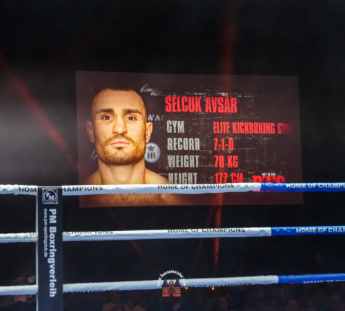 get-in-the-Ring-Kickboxen-hamburg-hansemeister.com-2025-3237