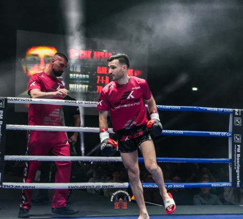 get-in-the-Ring-Kickboxen-hamburg-hansemeister.com-2025-3239