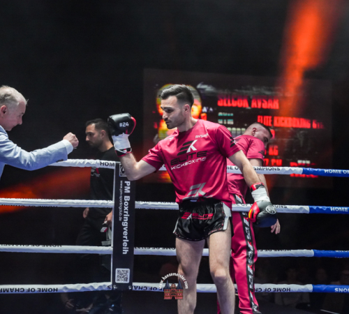 get-in-the-Ring-Kickboxen-hamburg-hansemeister.com-2025-3242