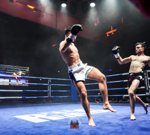 get-in-the-Ring-Kickboxen-hamburg-hansemeister.com-2025-3281