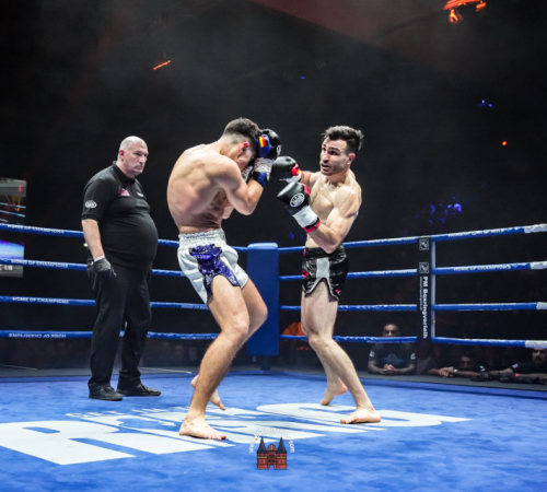 get-in-the-Ring-Kickboxen-hamburg-hansemeister.com-2025-3338