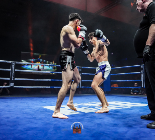 get-in-the-Ring-Kickboxen-hamburg-hansemeister.com-2025-3350