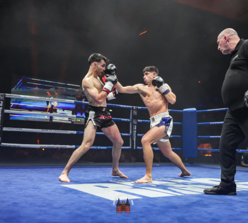 get-in-the-Ring-Kickboxen-hamburg-hansemeister.com-2025-3446