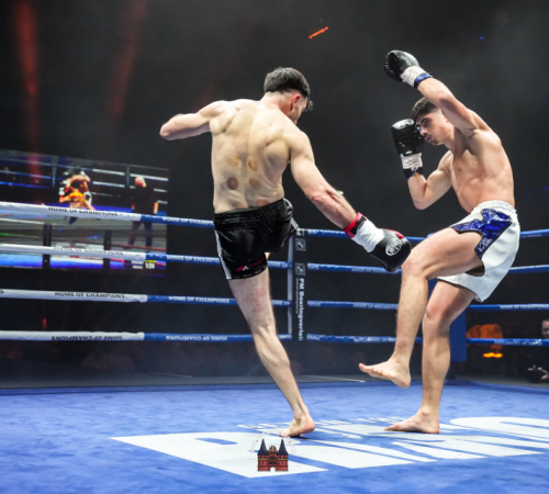 get-in-the-Ring-Kickboxen-hamburg-hansemeister.com-2025-3472