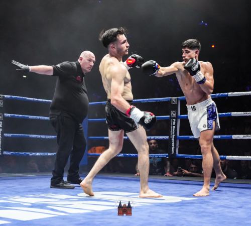 get-in-the-Ring-Kickboxen-hamburg-hansemeister.com-2025-3562