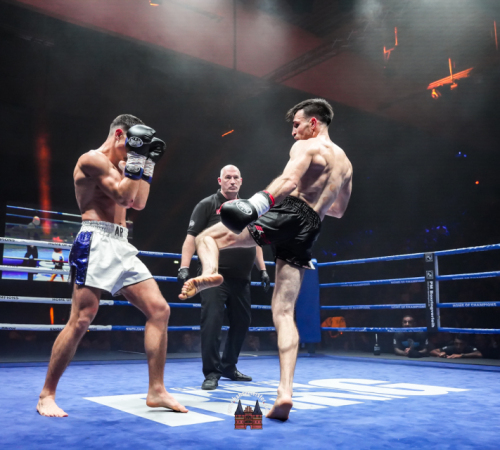 get-in-the-Ring-Kickboxen-hamburg-hansemeister.com-2025-3586