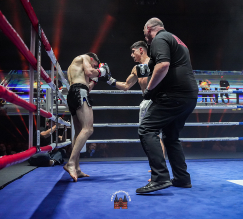 get-in-the-Ring-Kickboxen-hamburg-hansemeister.com-2025-3652