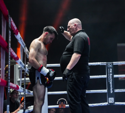 get-in-the-Ring-Kickboxen-hamburg-hansemeister.com-2025-3660