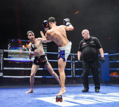 get-in-the-Ring-Kickboxen-hamburg-hansemeister.com-2025-3678
