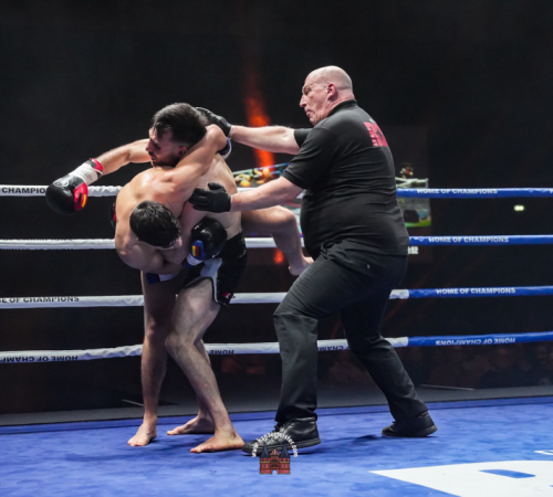 get-in-the-Ring-Kickboxen-hamburg-hansemeister.com-2025-3705