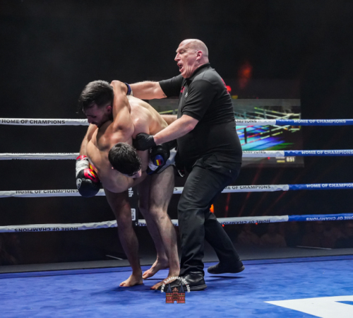 get-in-the-Ring-Kickboxen-hamburg-hansemeister.com-2025-3707