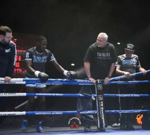 get-in-the-Ring-Kickboxen-hamburg-hansemeister.com-2025-3809