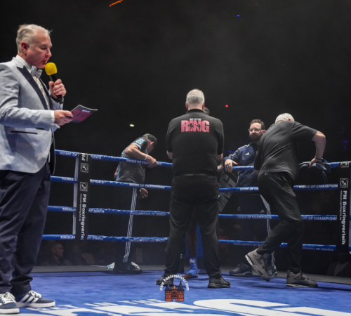 get-in-the-Ring-Kickboxen-hamburg-hansemeister.com-2025-3822