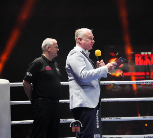 get-in-the-Ring-Kickboxen-hamburg-hansemeister.com-2025-3843