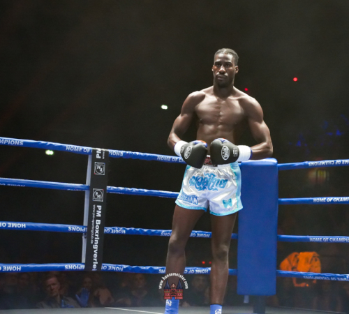 get-in-the-Ring-Kickboxen-hamburg-hansemeister.com-2025-3851