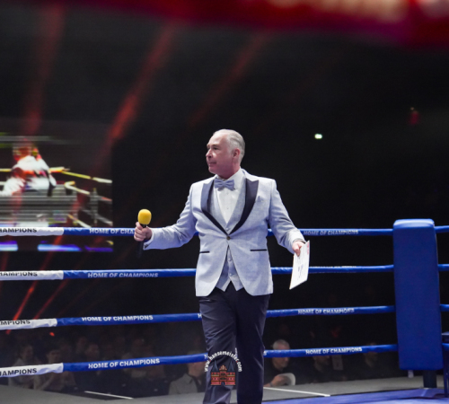 get-in-the-Ring-Kickboxen-hamburg-hansemeister.com-2025-387