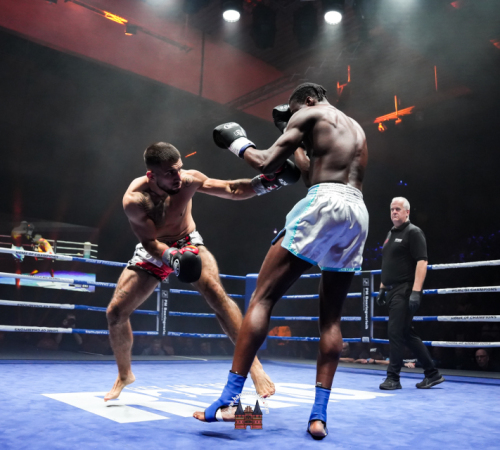get-in-the-Ring-Kickboxen-hamburg-hansemeister.com-2025-3875