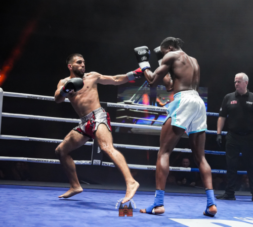 get-in-the-Ring-Kickboxen-hamburg-hansemeister.com-2025-3970