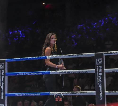 get-in-the-Ring-Kickboxen-hamburg-hansemeister.com-2025-4064