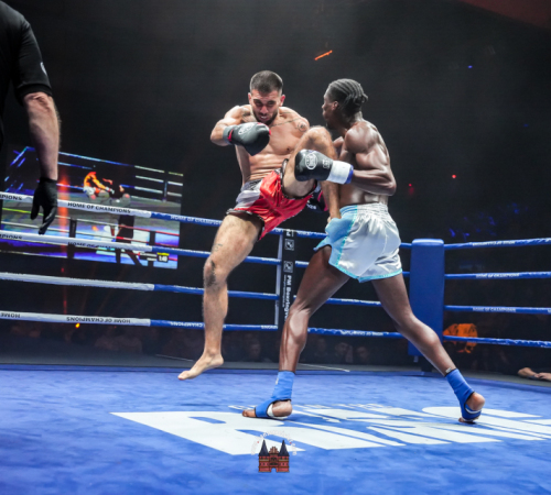 get-in-the-Ring-Kickboxen-hamburg-hansemeister.com-2025-4182