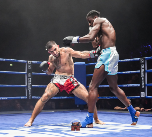 get-in-the-Ring-Kickboxen-hamburg-hansemeister.com-2025-4236