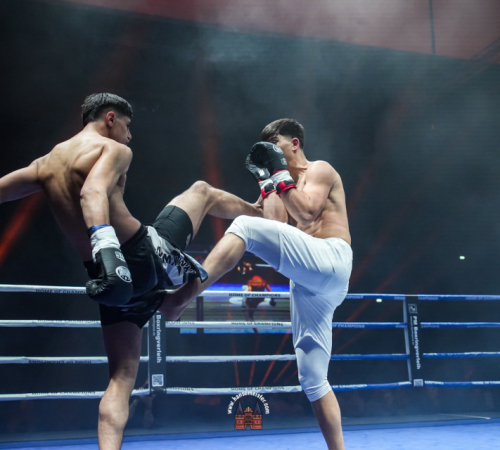 get-in-the-Ring-Kickboxen-hamburg-hansemeister.com-2025-434
