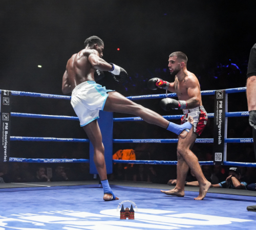 get-in-the-Ring-Kickboxen-hamburg-hansemeister.com-2025-4374