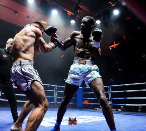 get-in-the-Ring-Kickboxen-hamburg-hansemeister.com-2025-4454