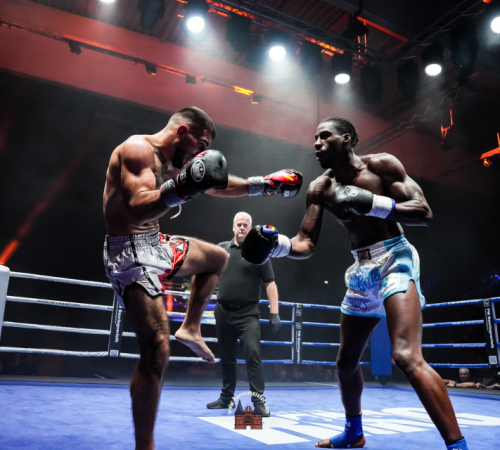 get-in-the-Ring-Kickboxen-hamburg-hansemeister.com-2025-4461