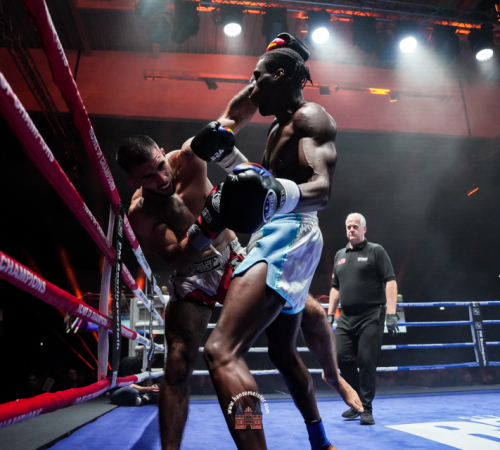 get-in-the-Ring-Kickboxen-hamburg-hansemeister.com-2025-4473