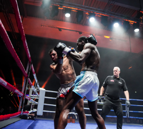 get-in-the-Ring-Kickboxen-hamburg-hansemeister.com-2025-4479