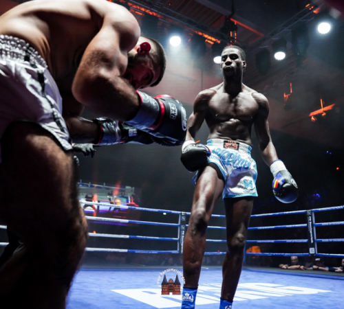 get-in-the-Ring-Kickboxen-hamburg-hansemeister.com-2025-4500