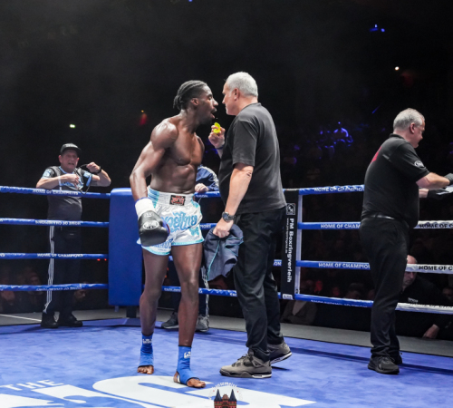 get-in-the-Ring-Kickboxen-hamburg-hansemeister.com-2025-4514