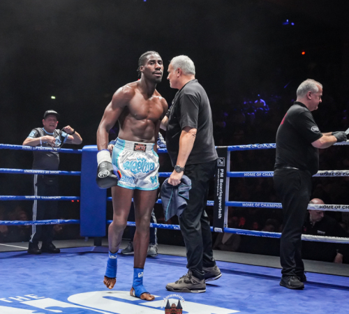 get-in-the-Ring-Kickboxen-hamburg-hansemeister.com-2025-4515